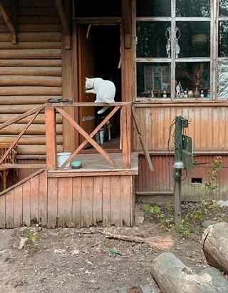 Дом, в котором живёт творчество, фото 4