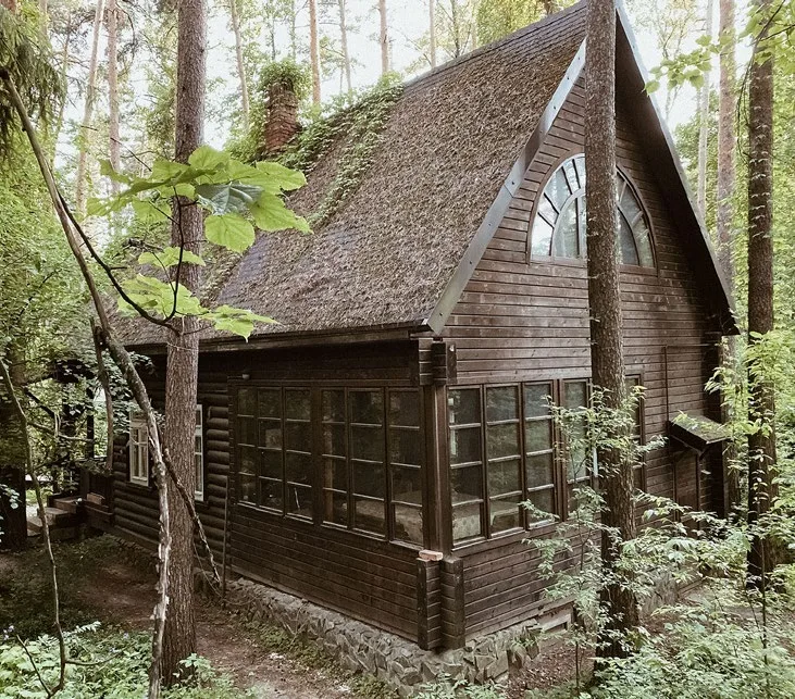 Дом, заросший плющом